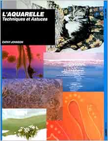 L Aquarelle Techniques Et Astuces Atelier Cartonne Johnson Cathy 9782907601313 Amazon Com Books