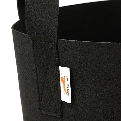 2 HONEST+OUTFITTERS+Container+Aeration+Handles