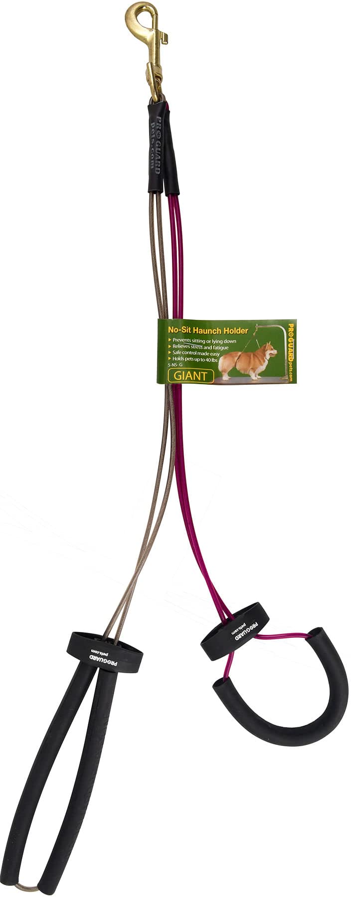 No-Sit Haunch Holder Dog Grooming Restraint Large Dogs