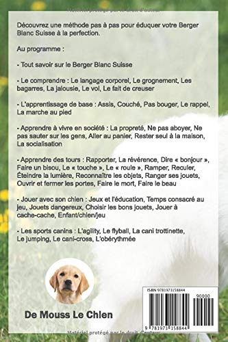 Leducation Du Berger Blanc Suisse Toutes Les Astuces Pour