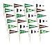 Multicolor Football Flag Wooden Food Picks - 2.5
