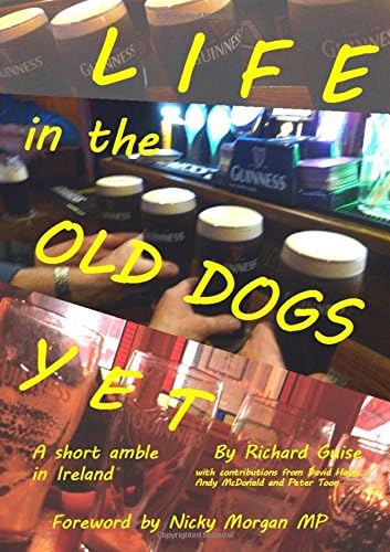 Life in the Old Dogs Yet: a short amble in Ireland
