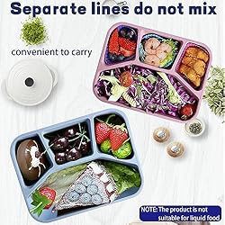 8 Pack Bento Box, Lunch Containers Wheat Straw Meal