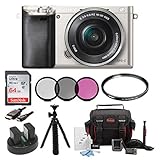 Sony Alpha a6000 24.3 MP Interchangeable Lens Camera with 16-50mm Power Zoom Lens (Silver) + Sony 64GB SD Card + Sony Case + Tiffen 40.5mm UV Protector &amp; Ciruclar Polarizer Filter + Wasabi Power Two Replacement NP-FW 50 Batteries and Charger + Accessory Ki