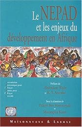 Le  NEPAD et les enjeux du développement en Afrique