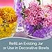 SMELLS BEGONE 48 oz Odor Eliminator Gel Bead Refill - Eliminates Odors from Bathrooms, Cars, Boats, RVs & Pet Areas - Made with Essential Oils - Fresh Cotton Scent
