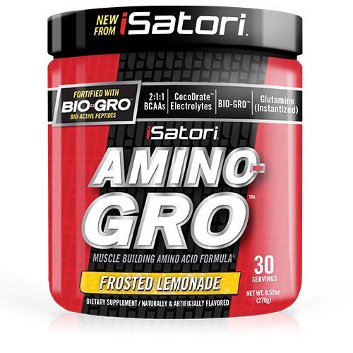 iSatori Amino-Gro Frosted Lemonade Cone 30 Servings