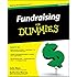 Fundraising For Dummies