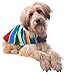 Dog Clothes - Handmade Dog Poncho - from Authentic Mexican Blanket (Blue, X-Small)