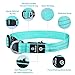 Pumila LED Dog Collar – Rechargeable Dog Collars, Flashing Light Collar for Small, Medium, Large Dogs, Basic Dog Collarsthumb 4
