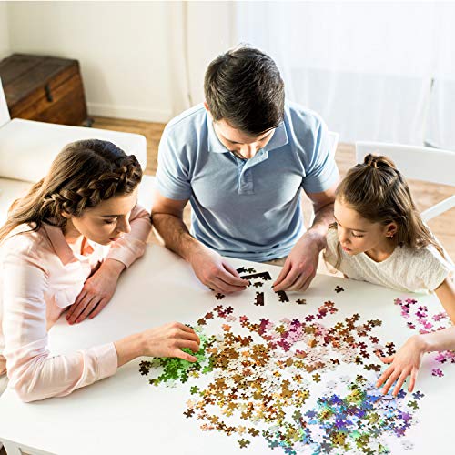 Jigsaw Puzzle for Adults 1000 Pieces, ACSTEP Gradient Color Rainbow Adult Jigsaw Puzzles