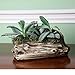 Window Garden Natural Elements Log Planter (Trunk) – Realistic Woodland-Themed with Intricate Weathered bark Detail. Grow Small Succulents, Cactus, African Violets. Striking in Any décor.