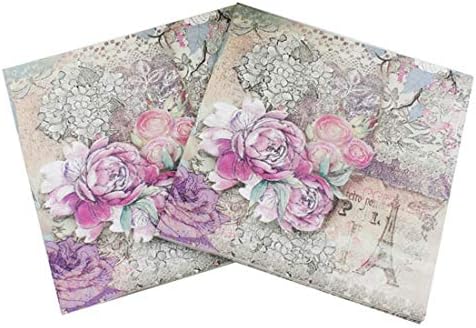 Karidesh Architectural Collection Print Original Pulp Napkin,Perfect for Brunch,Catering Events,Dinner Parties,Buffets,Spring Weddings or Everyday Use, 5 Pack