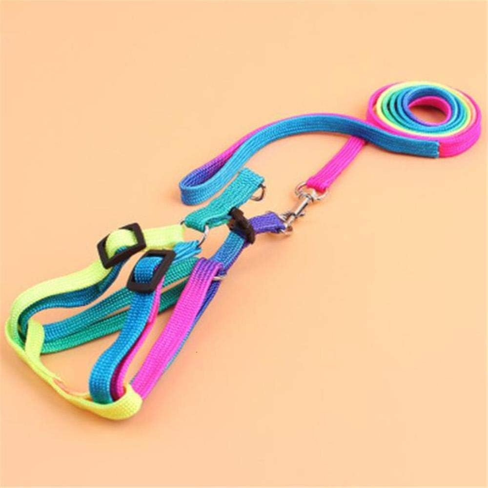 rainbow dog lead