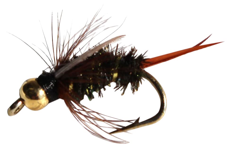 Flies Direct BH Prince Nymph Assortment Trout Fishing Flies (1-Dozen), Black