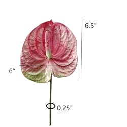 DODXIAOBEUL 3 PCS 27" Artificial Anthurium Lily