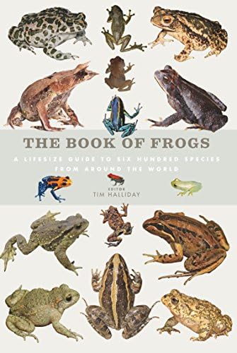 Book Of Frogs