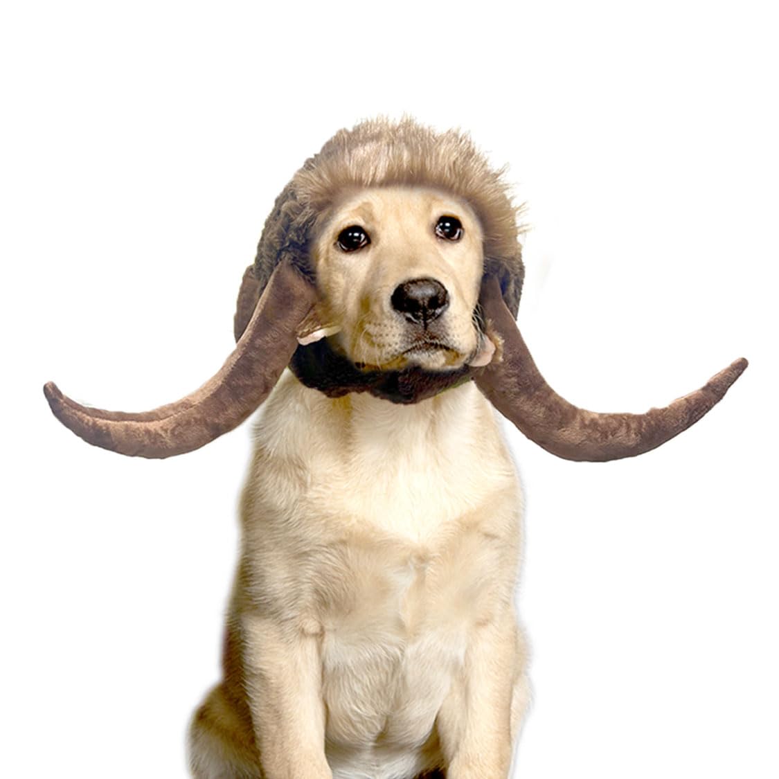 Bull Horn Wig for Pet Dog Costume Cosplay, Cattle Headgear Costumes, Ox Demon for Thanksgiving Christmas Party