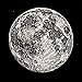Full Moon Silver Coin - Reminder token for lunar gifts in .999 fine silver