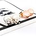 Stud Earrings Fashion Jewelry Daisy Perfume Design 0.63
