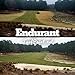 Endurant Turf Colorant – 1 Gallon Jug Revitalizes Approximately 5,000 Sq. Ft of Dormant, Drought-Stricken or Patchy Lawn