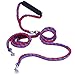 PETBABA Double Leash for Two Dogs, 4.6ft Heavy Duty Tangle Free Splitter Coupler, Strong Dual Lead Split, Soft Padded Handle, for Walking 2 Medium Large Dogs That Pull - Red-Blue