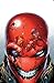 Red Hood and the Outlaws: The New 52 Omnibus Vol. 1