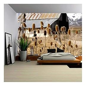 Nice Image of The Thistles on The Plains in Yellowstone Park - Removable Wall Mural | Self-Adhesive Large Wallpaper - 66x96 inches
