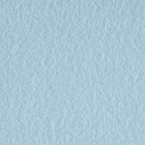 Newcastle Fabrics Polar Fleece Solid Light Blue Fabric by The Yard, Light Blue
