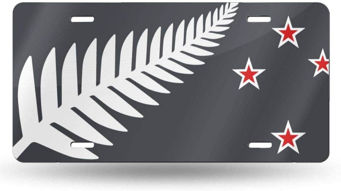 YISONG New Zealand Personalized Custom License Plate 6"x 12