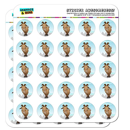 Goat On Mountain Top 1