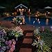 Garden Solar Lights Outdoor, 3 Pack Solar Stake Lights Multi-color Changing LED Garden Lights, Fiber Optic Butterfly Decorative Lights for Yard, Solar Powered Light with a Purple LED Light Stake