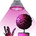 Essential Choice Limited Supply: Industrial Grade LED Grow Light Full Spectrum Hydroponic Light Bulb - High Luminosity & Low Power Consumption - Plant Grow Lights Greenhouse Garden Indoor Growing