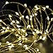 LED String Lights, CrazyFire Fairy String Light 33ft 100 LEDs Waterproof Decorative Starry Lights for Bedroom, Patio, Parties ( Silver Copper Wire Lights, Warm White )