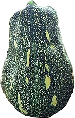 CHAIR PADS 3d simulation Fruit Plush toy cushion home seat Stool pillow Birthday gift Creative Pillow (Pumpkin 45 * 30)
