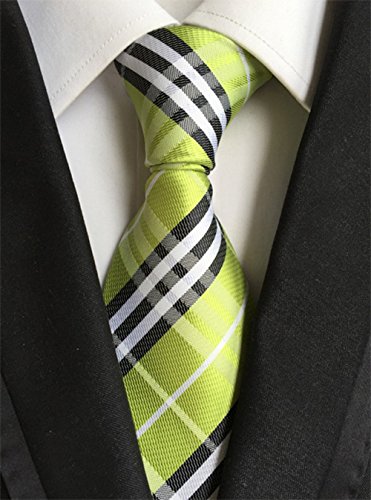 WeiShang Lot 6 PCS Classic Men's 100% Silk Tie Necktie Woven JACQUARD Neck Ties (Style 7)