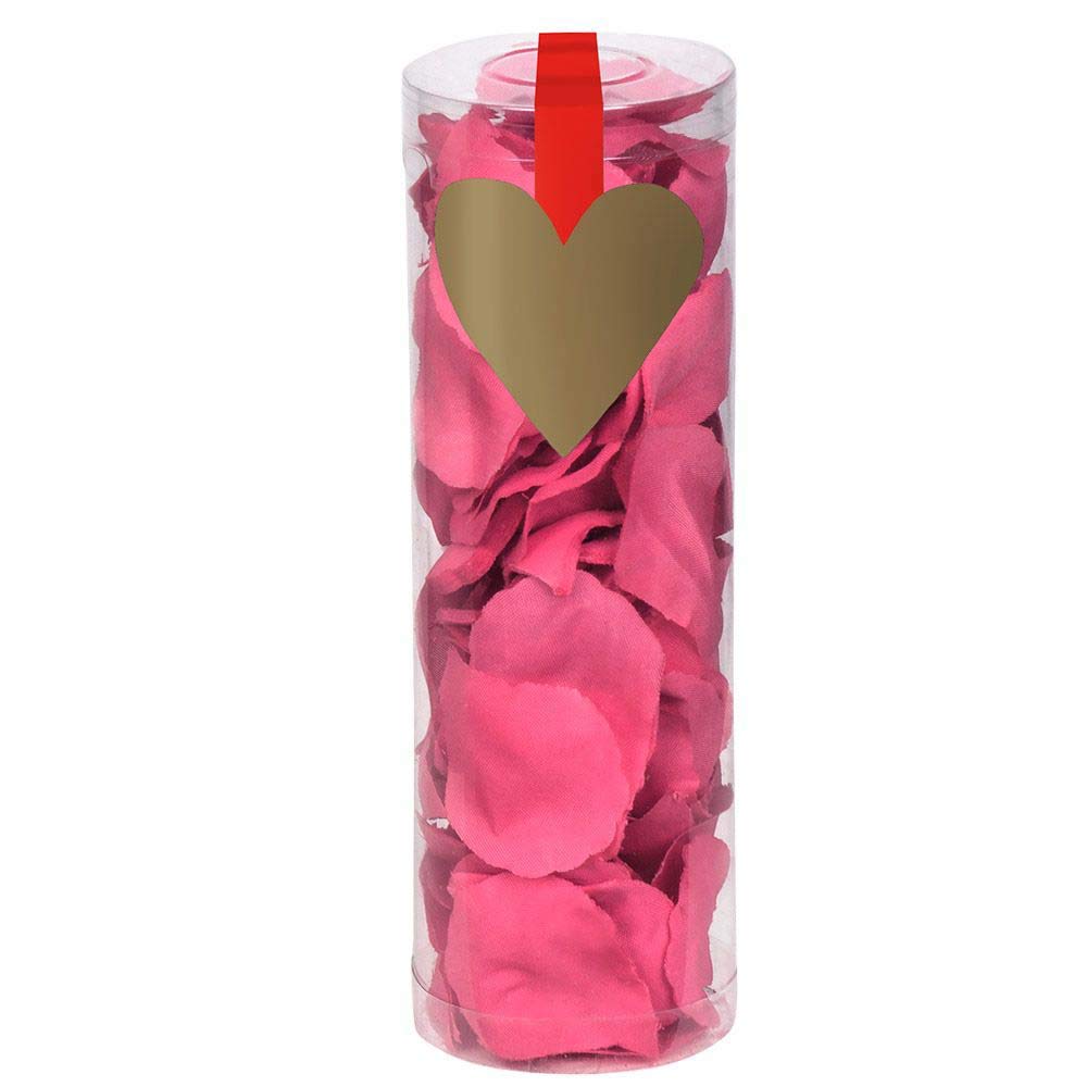 Boland 48021 - Cylinder with Rose Petals, 288 Pieces, Pink