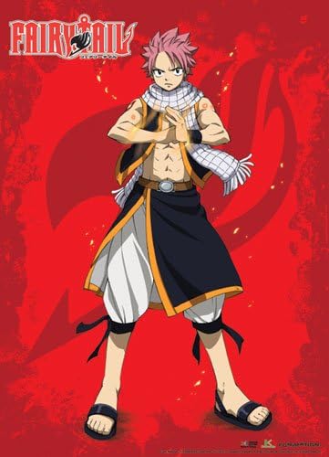 Amazon Com Fairy Tail Wall Scroll New Natsu Pose Wall Art Anime Amazon Com Fairy Tail Wall Scroll New Natsu Pose Wall Art Anime