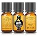Essential Oils Gift Set: French Lavender, Tea Tree, Eucalyptus, Lemongrass, Sweet Orange, Peppermint | 100% Organic Natural Formula