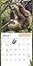 Sloths Wall Calendar 2017