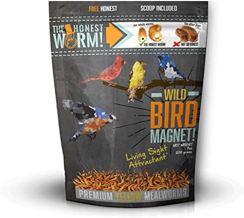 Amazon Com The Honest Worm Bci 043028 Wild Bird Magnet With