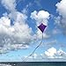 In the Breeze 2993 — Purple Diamond Kite, 30-inch, Easy-Flying Kite for Kids, Teens, Adults