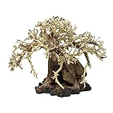 Bonsai Driftwood Aquarium Tree AWA Random Pick