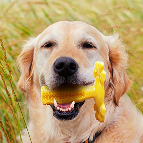 VOVO Chew Toy Pet Toothbrush - Teeth Cleaning Toy for Dogs - Oral Care Brushing Stick - 360° Soft Bristles - 100% Safe Food Grade Material - Healthy Mouth & Gums - Practical Holding Base - Thumbnail 7