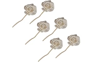 ZUNOXAZ 6pcs Aromatherapy Rattan Sticks Natural Reed Diffuser Accessories for Home Fragrance and Essential