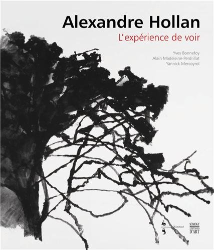 Télécharger Alexandre Hollan: The Experience of Seeing Livre PDF Gratuit
