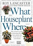 What Houseplant Where by 