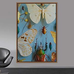 signwin Framed Canvas Wall Art Insects Arrangements Butterfly...