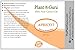 Apricot Kernel Oil 16 oz Cold Pressed 100% Pure Natural Carrier - Skin, Face, Body And Hair Growth Moisturizer. Great For DYI Cream, Lotions and Lip balm.