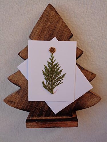Fresh Weeping Nootka Cypress"Christmas Trees" with a poppy seed head"Star" holiday card on quality Ivory card stock. Package of six Christmas cards.